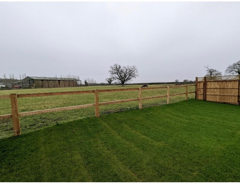 Meadow View
